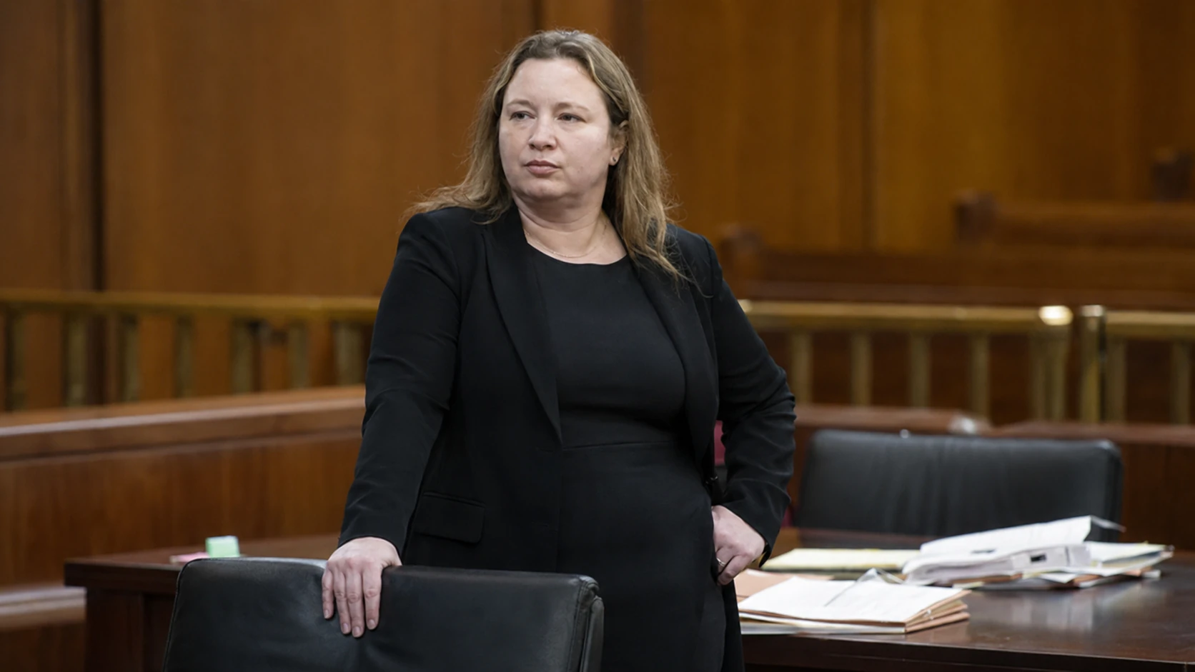 Major Cases and Legal Work - Kristy Greenberg